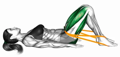 Resistance Band Hip Thrust (VERSION 2) demo