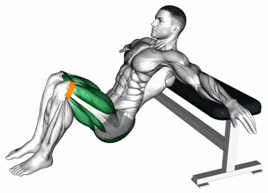 Resistance Band Hip Thrust (Demo 2) demo