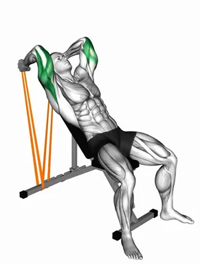 Resistance Band Incline Triceps Extension demo