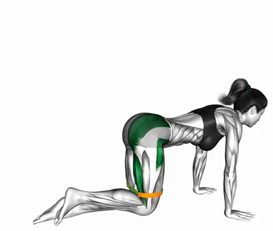 Resistance Band Kneeling Back Kick demo