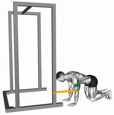 Resistance Band Kneeling Elbow Extension demo