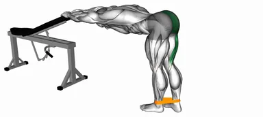 Resistance Band One Leg Kickback (Bent Position) demo