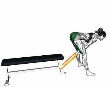 Resistance Band Pull Through demo