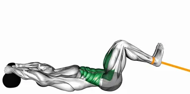 Resistance Band Reverse Crunch (VERSION 2) demo