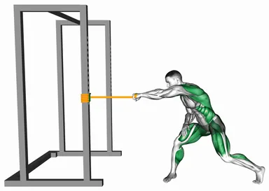 Resistance Band Rotary Pull demo
