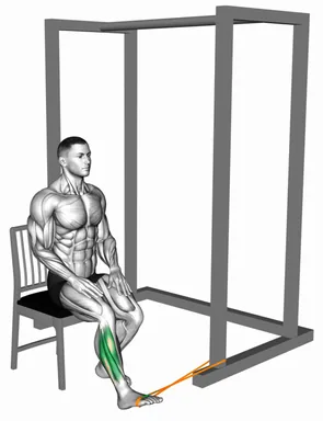 Resistance Band Seated Foot Eversion demo