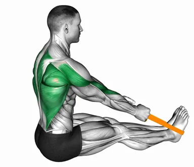 Resistance Band Seated Row demo