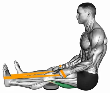 Resistance Band Seated Single Leg Hamstring Stretch demo