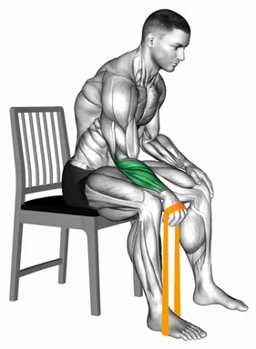 Resistance Band Seated Wrist Extension demo