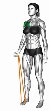 Resistance Band Single Arm Fly demo