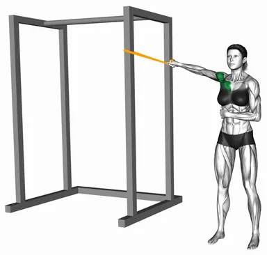 Resistance Band Single Arm Low Chest Fly demo