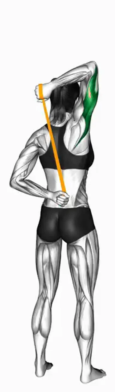 Resistance Band Single Arm Overhead Triceps Extension demo