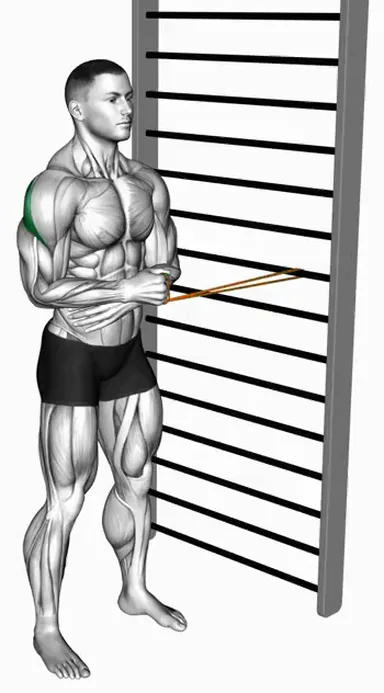 Resistance Band Standing Shoulder External Rotation demo