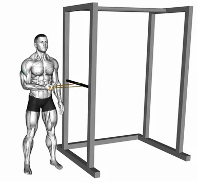 Resistance Band Standing Shoulder External Rotation demo