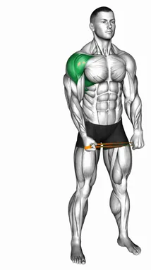 Resistance Band Standing Single Arm Lateral Raise demo