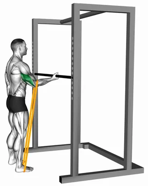 Resistance Band Standing Single Arm Triceps Stretch demo