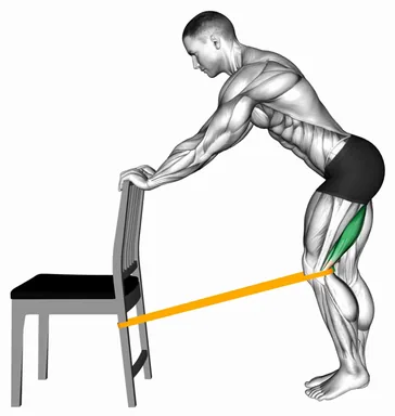 Resistance Band Standing Single Leg Knee Extension demo