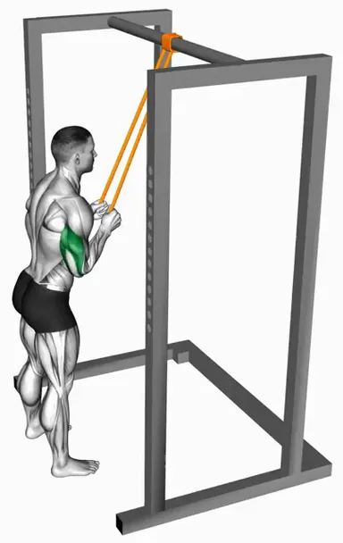 Resistance Band Triceps Pushdown demo