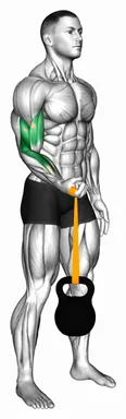 Resistance Band Weighted Standing Pronation Twist Curl (Arm Wrestler) demo