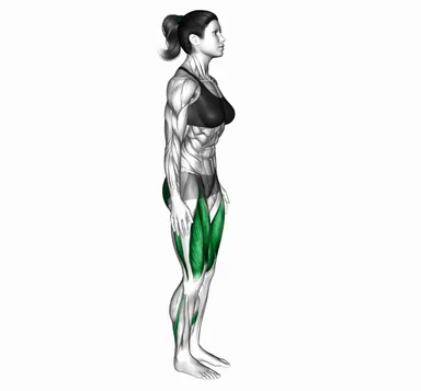 Reverse Lunge (Leg Kick) demo