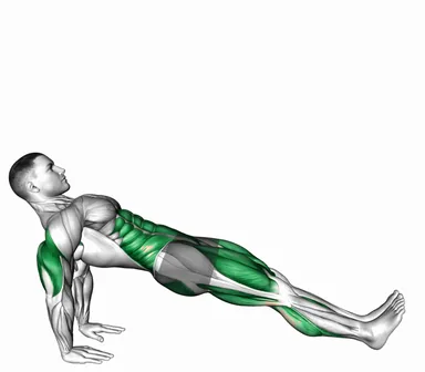 Reverse Plank with Leg Lift (Demo 2) demo