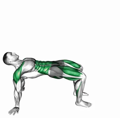 Reverse Plank with Leg Lift demo