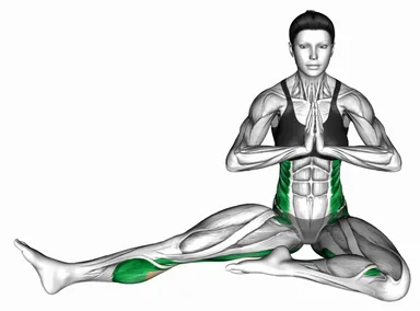 Revolved Head to Knee Pose demo