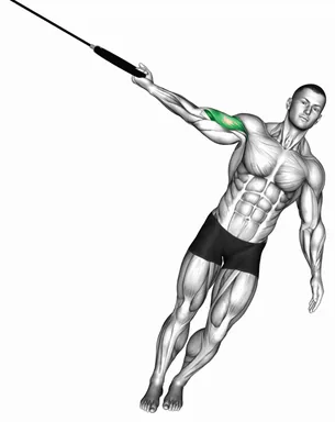 Ring One Arm Biceps Curl demo