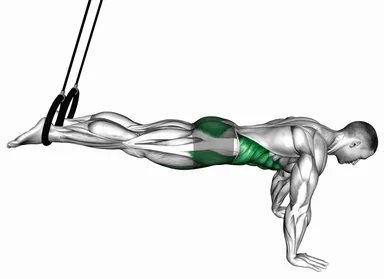 Ring Reverse Ab Rollout demo