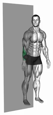 Roll Ball Forearm Extensors demo