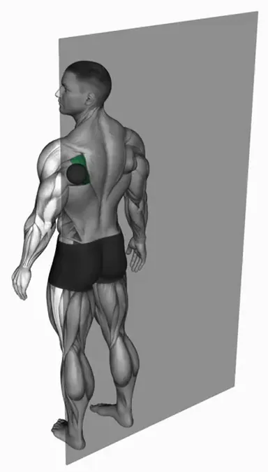Massage Ball Infraspinatus Stretch demo
