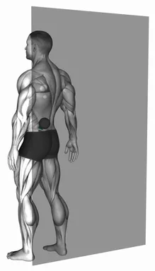 Roll Ball Lumbar - Diagonal demo