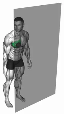Roll Ball Pectoralis Major - Sternal demo