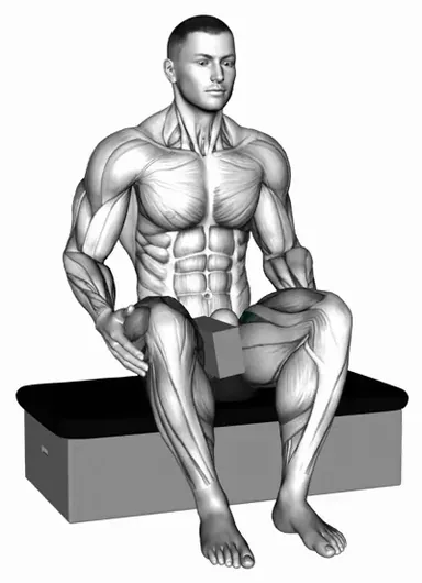Massage Ball Seated Pectineus Activation demo