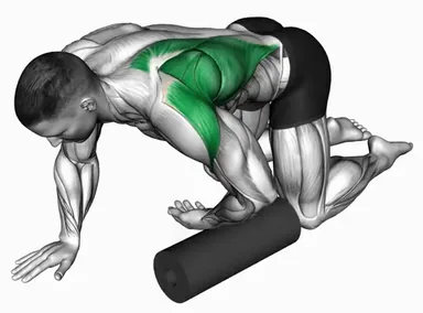 Foam Roller Kneeling Upper Back Rotation demo