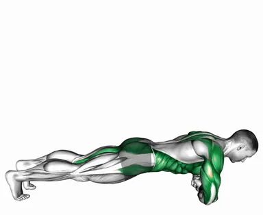 Roll Press Plank demo