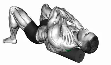 Foam Roll Rhomboids demo