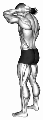 Roll Standing Neck demo