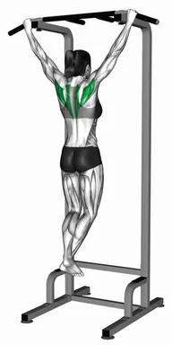 Scapula Pull-up (Demo 2) demo
