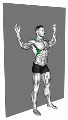 Scapula Slide Back to Wall demo