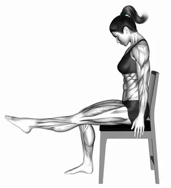 좌골신경 글라이드 플로싱 자세 시연
