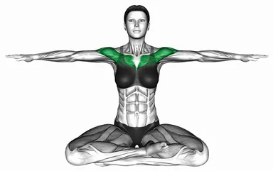 Seated Alternate Arms Rotation demo