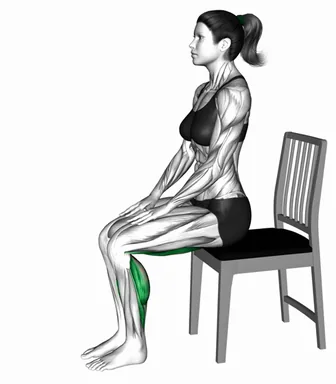 Seated Alternate Hamstrings Stretch on a Chair demo