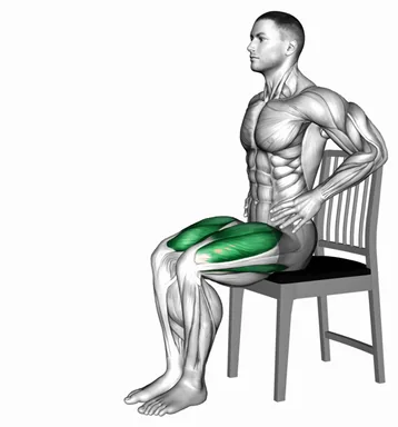 Seated Alternate Knee Extension on Chair demo