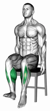 Seated Alternating Heel Toe Raises on a Chair demo
