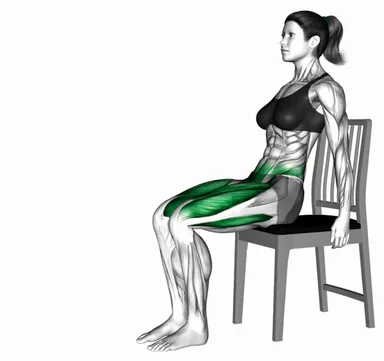 Seated Alternating Leg Kick on a Chair demo