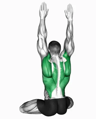 Seated Back Press demo