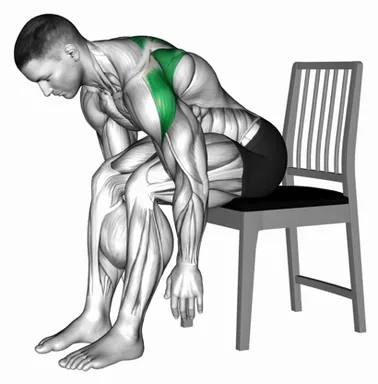 Seated Bent Over Reverse Fly on a Chair demo