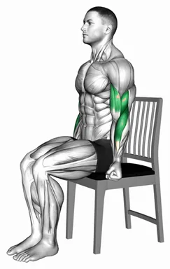 Sitting Biceps Curl on a Chair (Demo 2) demo