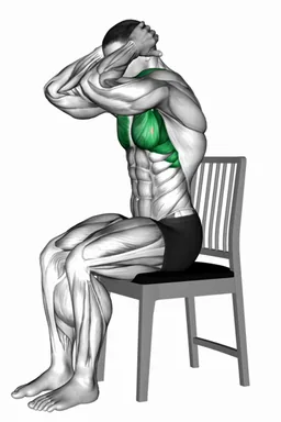 Seated Chest Opener Stretch on a Chair demo